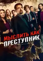 Мыслить как преступник смотреть онлайн сериал 1-15 сезон